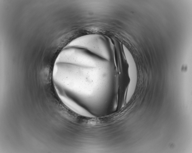 X0000093100420200710241225