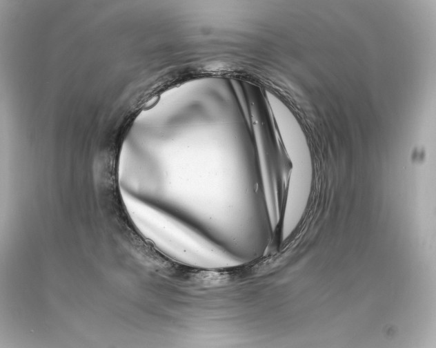 X0000093100421200710241225