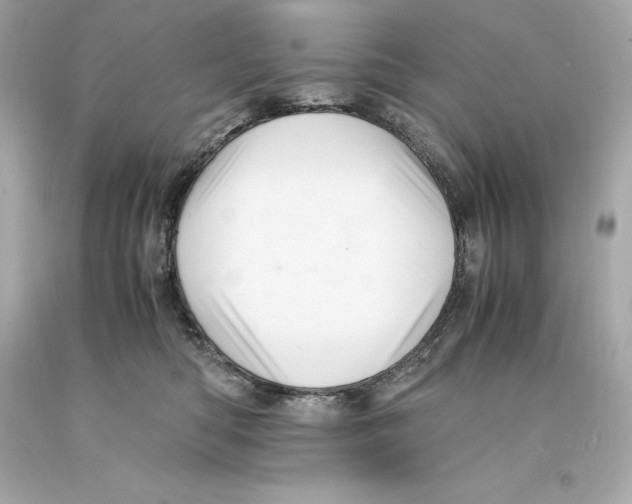 X0000093100422200710241225