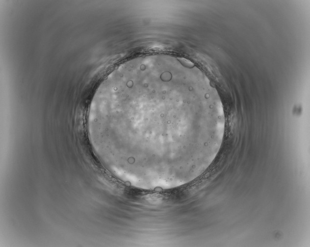 X0000093100423200710241225