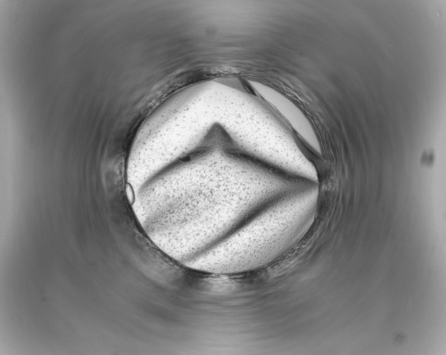 X0000093100425200710241225