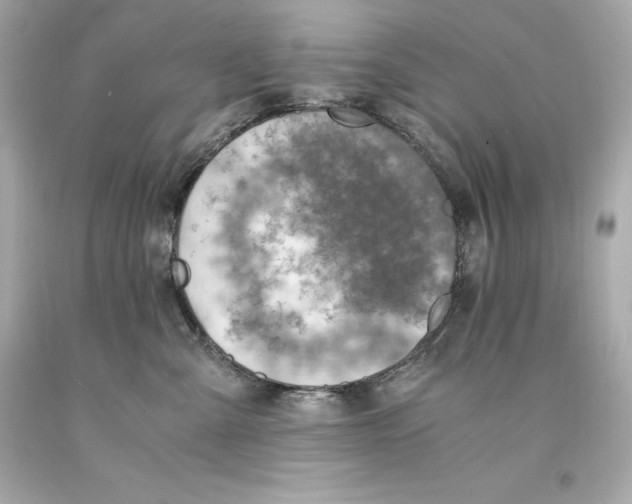 X0000093100427200710241225