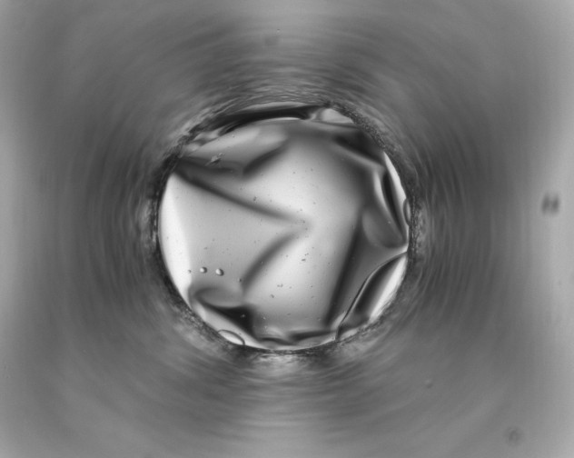 X0000093100428200710241225