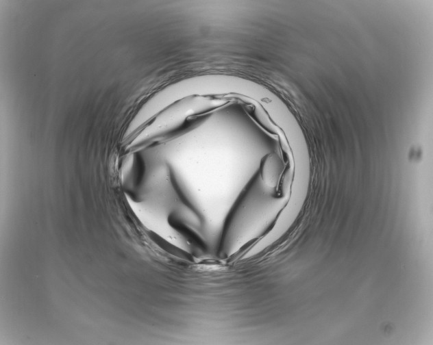 X0000093100429200710241225