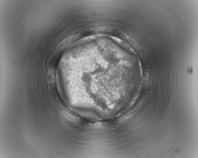 X0000093100430200710241225