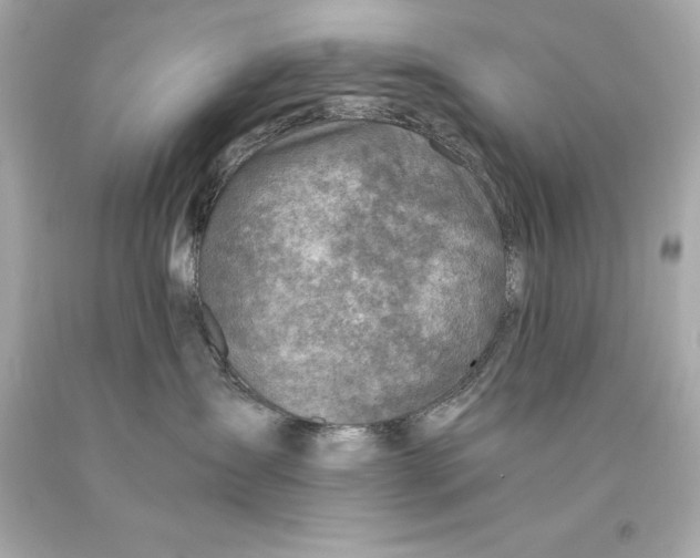 X0000093100431200710241225