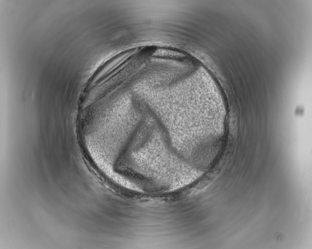 X0000093100434200710241224