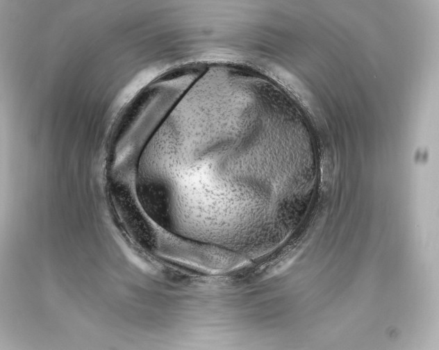 X0000093100436200710241224