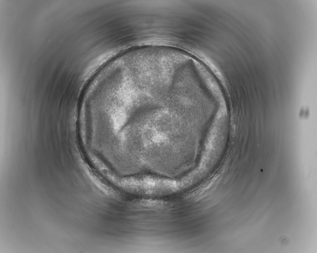 X0000093100437200710241224