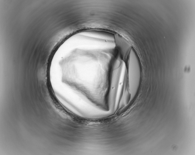 X0000093100438200710241224