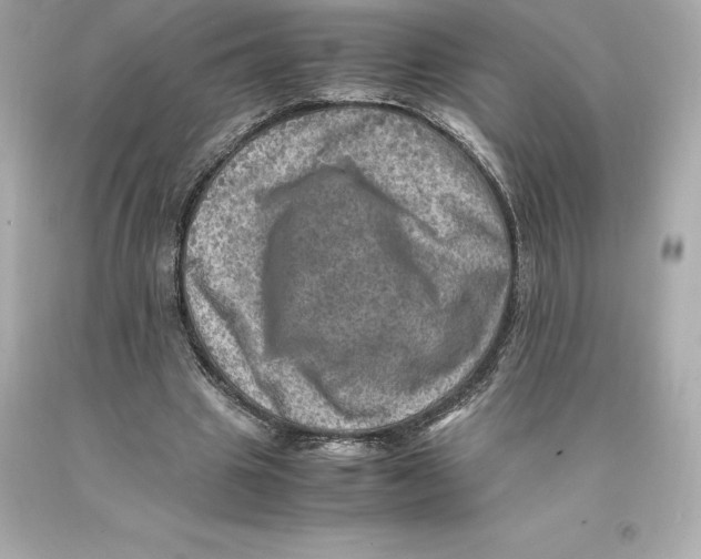 X0000093100441200710241224