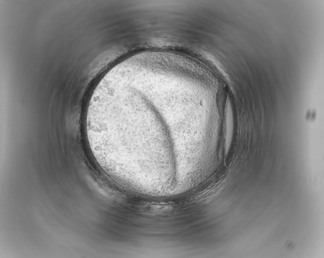 X0000093100443200710241224