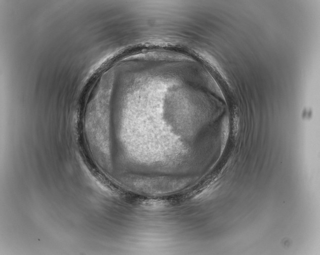 X0000093100444200710241224