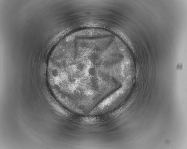 X0000093100445200710241224