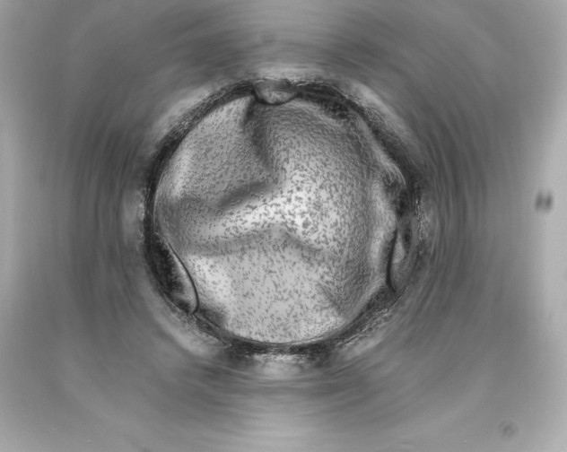 X0000093100448200710241224