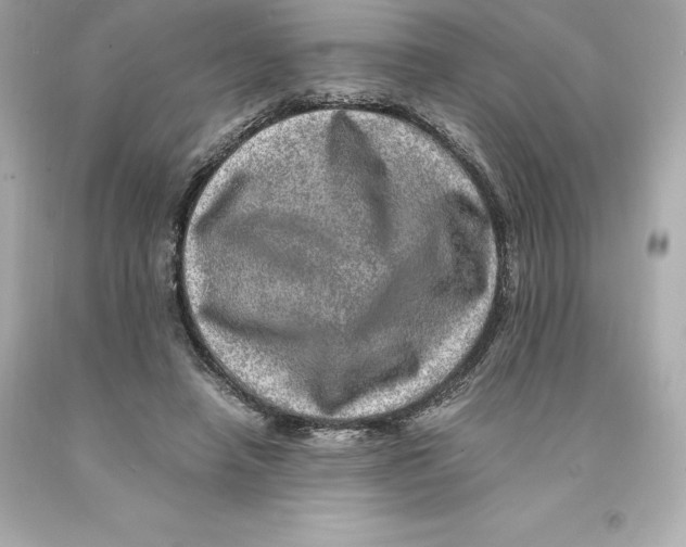 X0000093100450200710241224