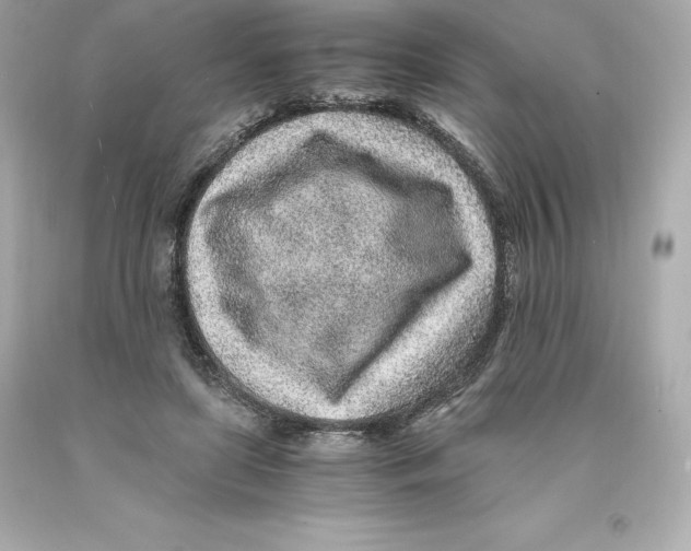 X0000093100451200710241224