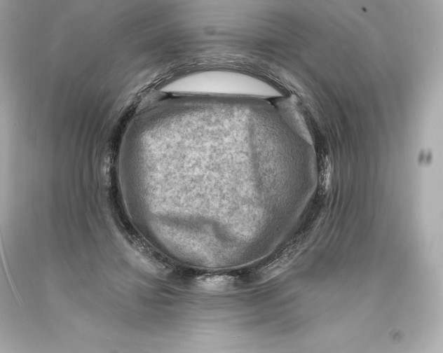 X0000093100452200710241224