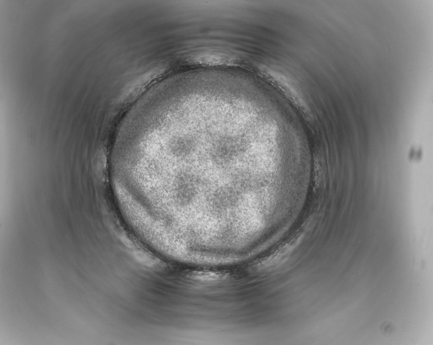 X0000093100453200710241224