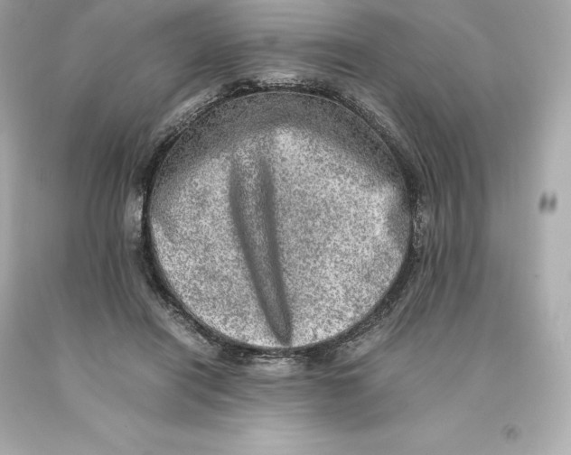 X0000093100454200710241224