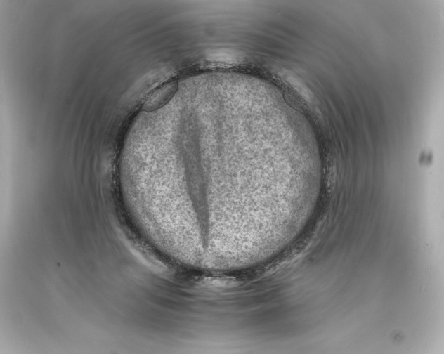 X0000093100455200710241224