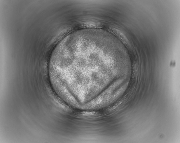 X0000093100457200710241224