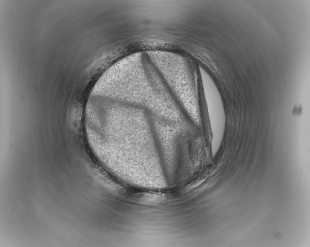 X0000093100458200710241224