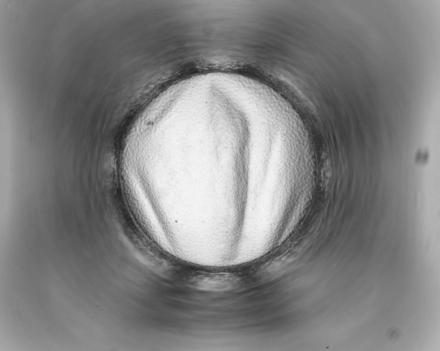 X0000093100459200710241224