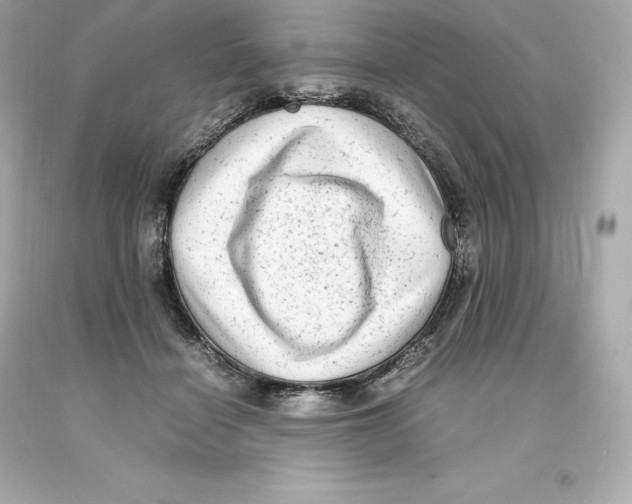 X0000093100460200710241224