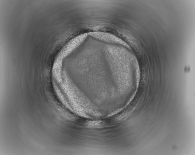 X0000093100461200710241224