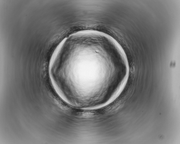 X0000093100462200710241224