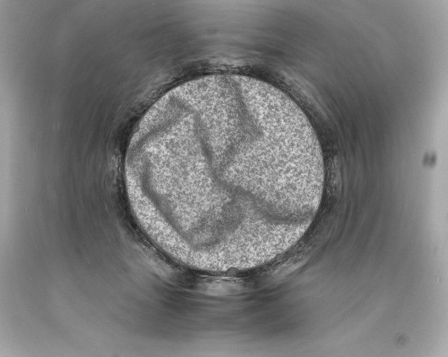 X0000093100463200710241224