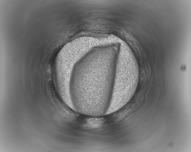 X0000093100465200710241224