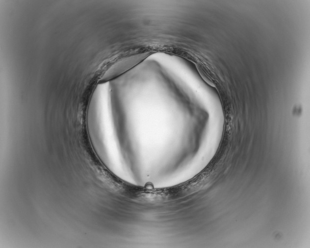 X0000093100466200710241224