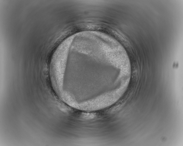 X0000093100469200710241224