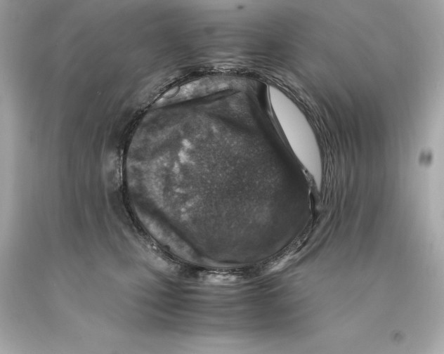 X0000093100471200710241224