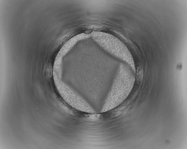 X0000093100474200710241224