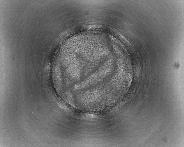 X0000093100475200710241224