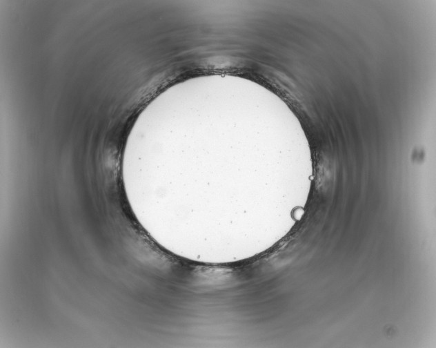 X0000093100476200710241225