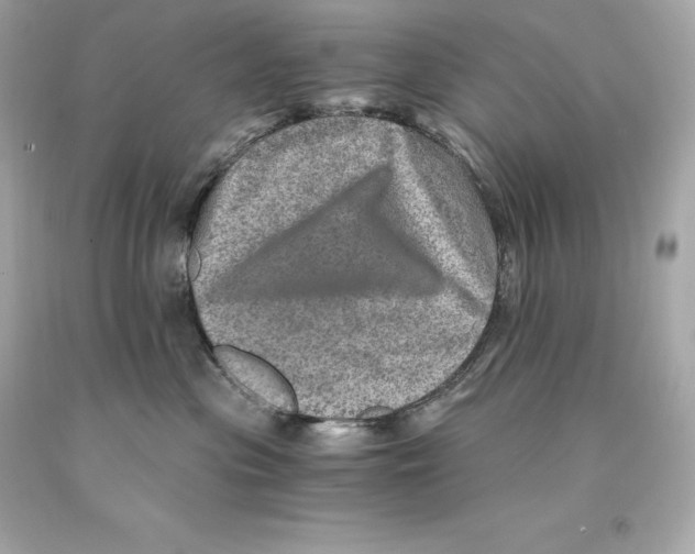 X0000093100477200710241225