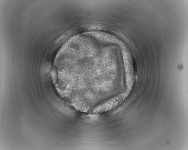 X0000093100478200710241225