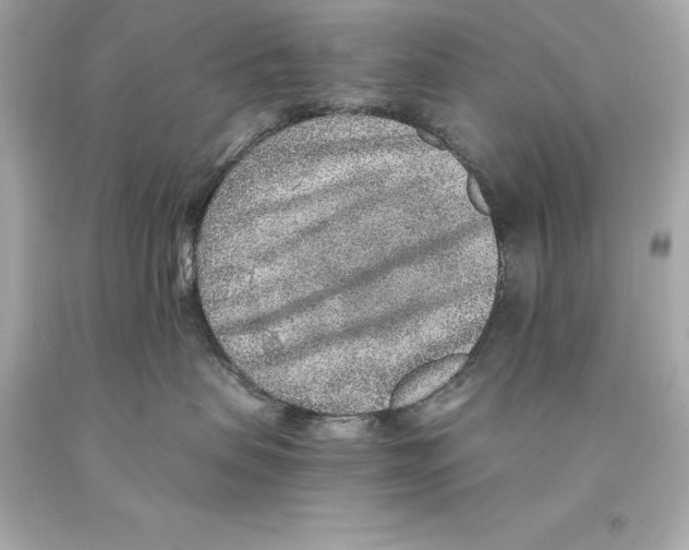 X0000093100479200710241225