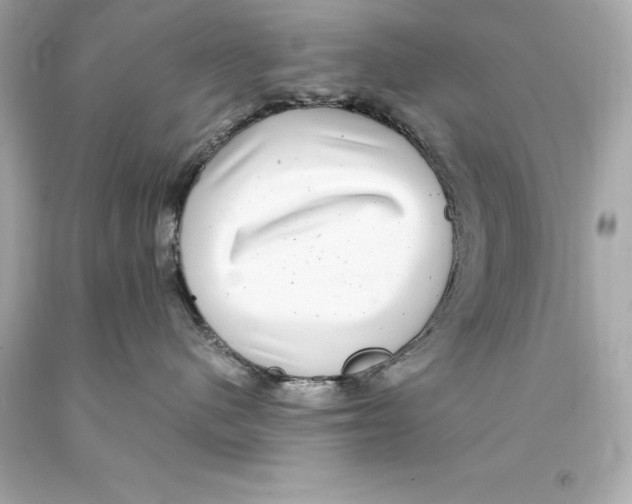 X0000093100480200710241225