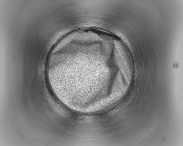 X0000093100482200710241224