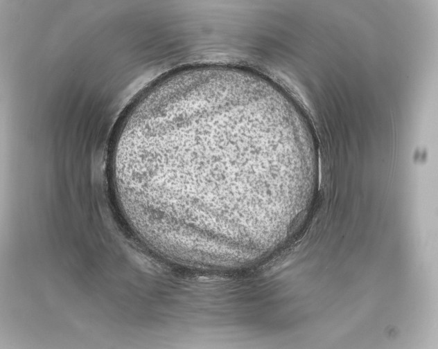 X0000093100483200710241224