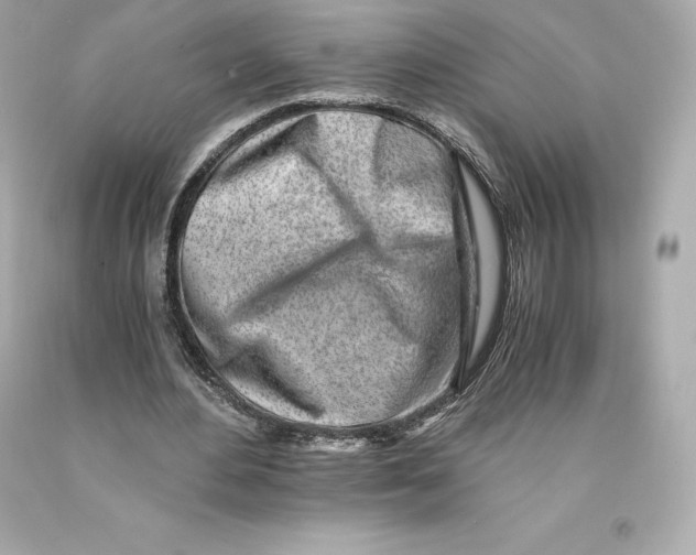 X0000093100484200710241224