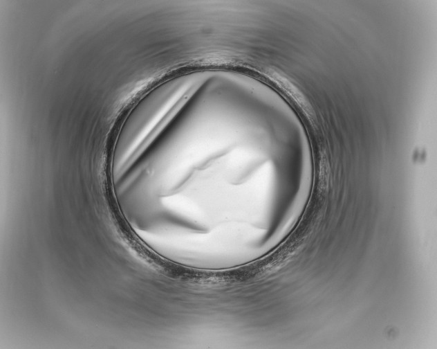 X0000093100485200710241224