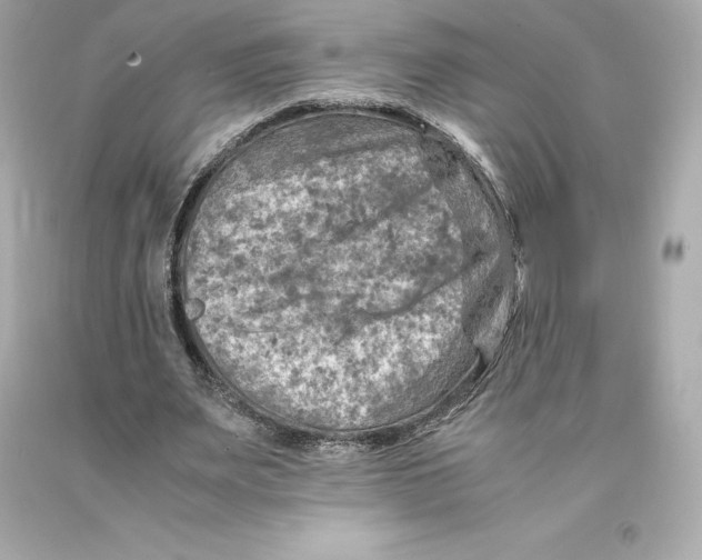 X0000093100487200710241224