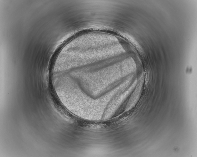 X0000093100488200710241224