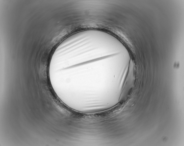 X0000093100489200710241224